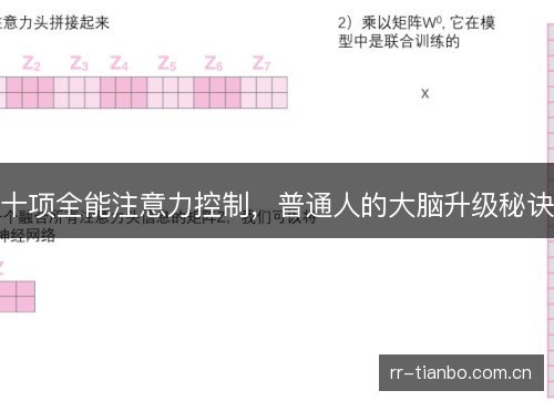 十项全能注意力控制,普通人的大脑升级秘诀 十项全能注意力控制,普通人的大脑升级秘诀